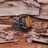 Punk Glyph Tiger Stone Ring - Image 5